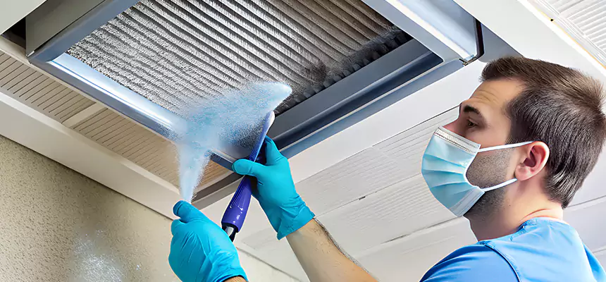 Proactive Dryer Vent & Auxiliary Duct Pollen Cleanup in Danville, CA