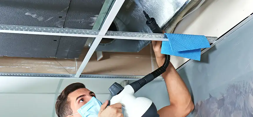 Our Air Duct Rodent Removal Services in Danville, CA