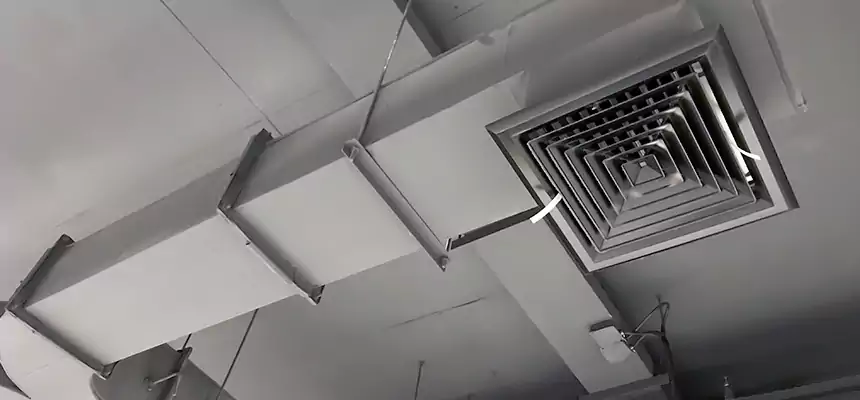 Restorative Allergy Relief Vent Cleaning – Coil, Blower & Housing Detail in Danville