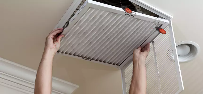 Our Insect Removal from Air Ducts Services in Danville, CA