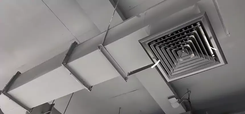 Our Pest Removal From Ducts Services in Danville, CA