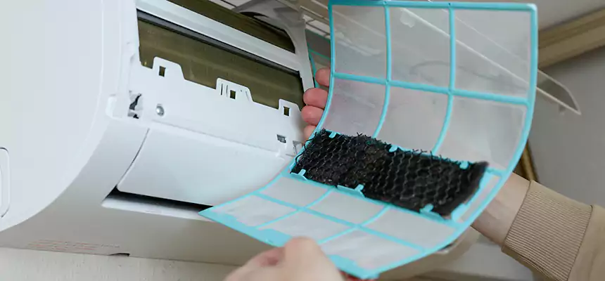 Gentle Ductwork Odor-Control Pet Dander Duct Cleaning in Danville, CA