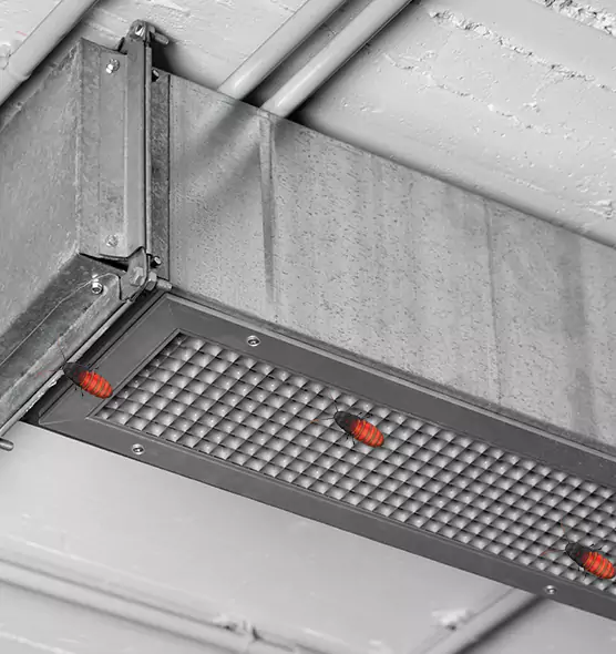 Affordable Insect Removal from Air Ducts in Danville, CA