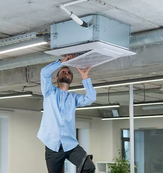 Advanced Rodent Droppings In Vents in Danville, CA