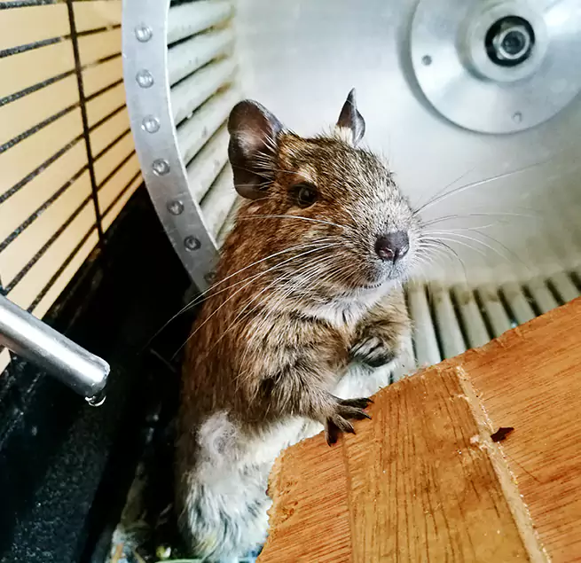 Why Homeowners & Businesses Trust Us Danville, CA