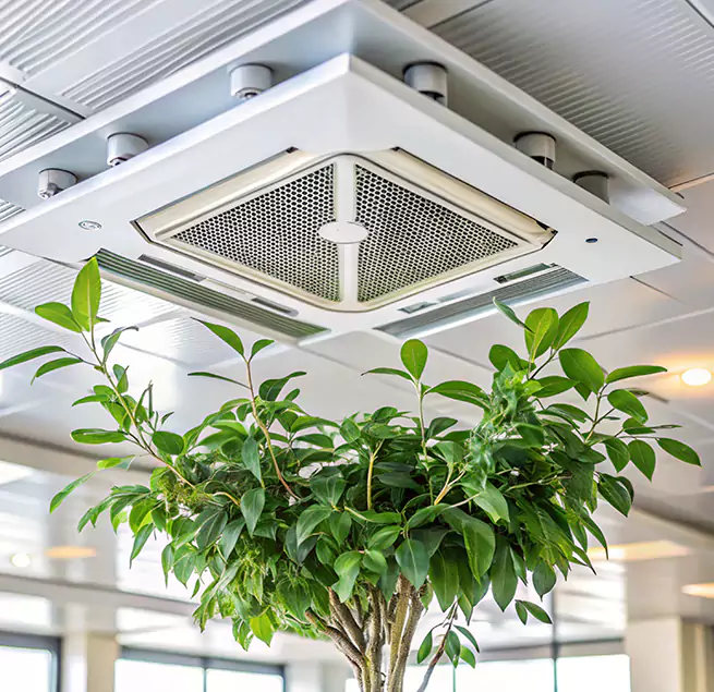 Why Homeowners & Businesses Trust Us in Danville, CA?